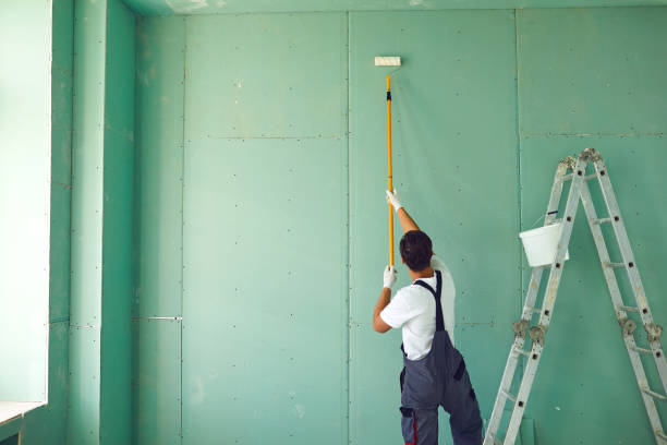 Best Asbestos and Lead Testing During Mold Inspection  in Levelland, TX