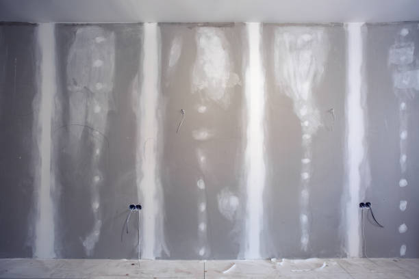 Trusted Levelland, TX Mold Removal Experts